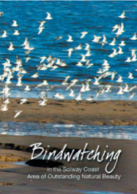 Birdwatching in the Solway Coast AONB
