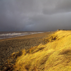 saltmarsh-1920x960