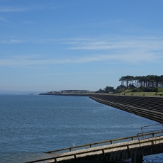 DSC00132 - Copy