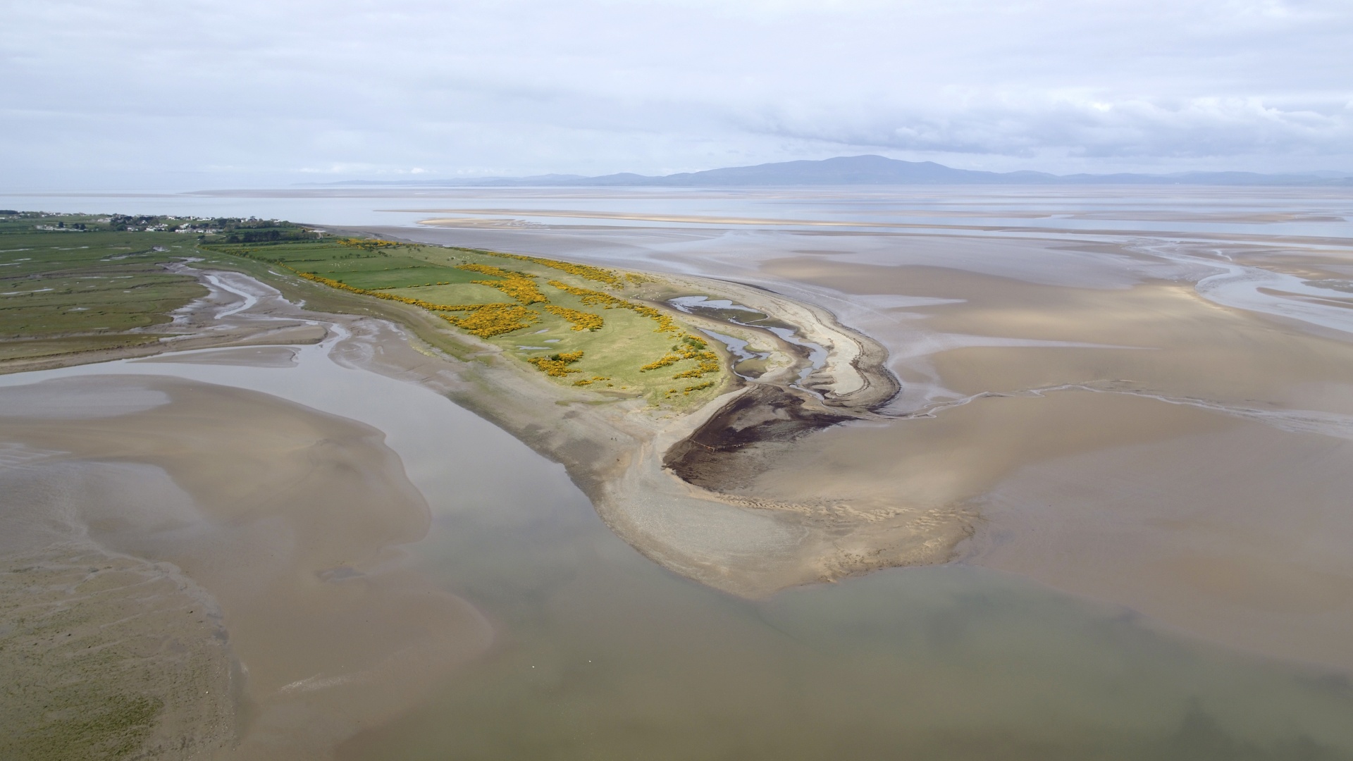 Grune Point » Solway Coast