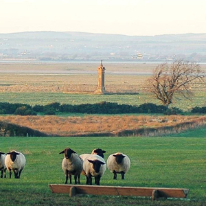 King Edward 1st Monument 300
