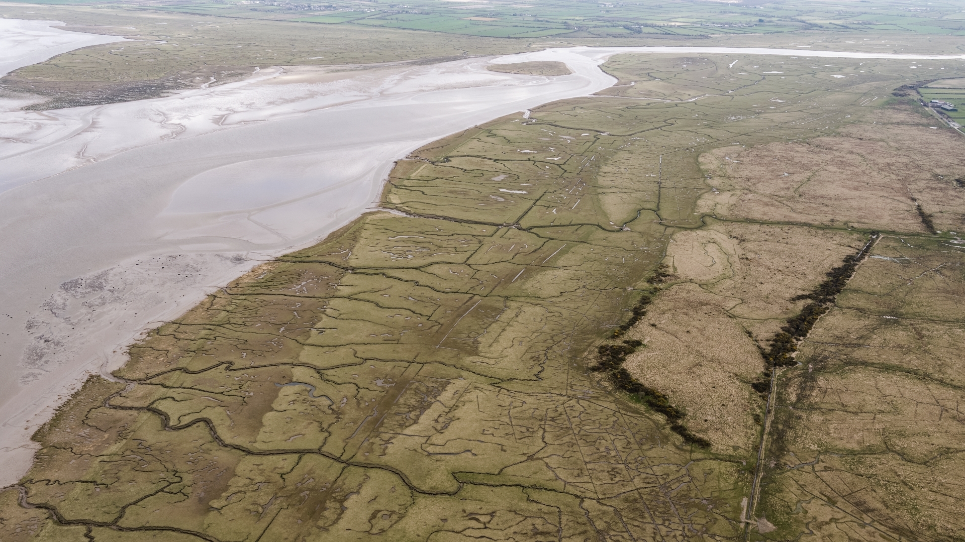 Salt Marsh