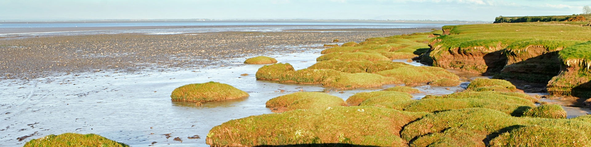 saltmarsh 1920x480