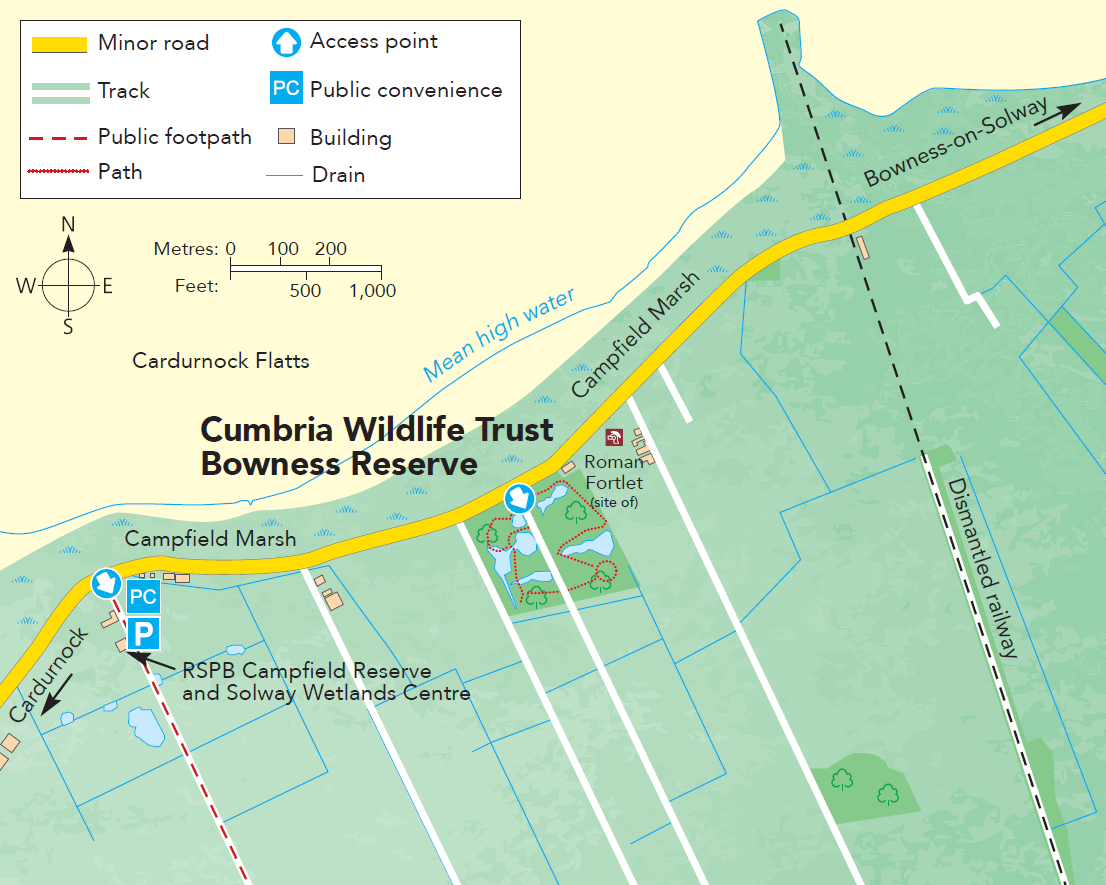 Bowness Reserve Cumbria WildlifeTrust